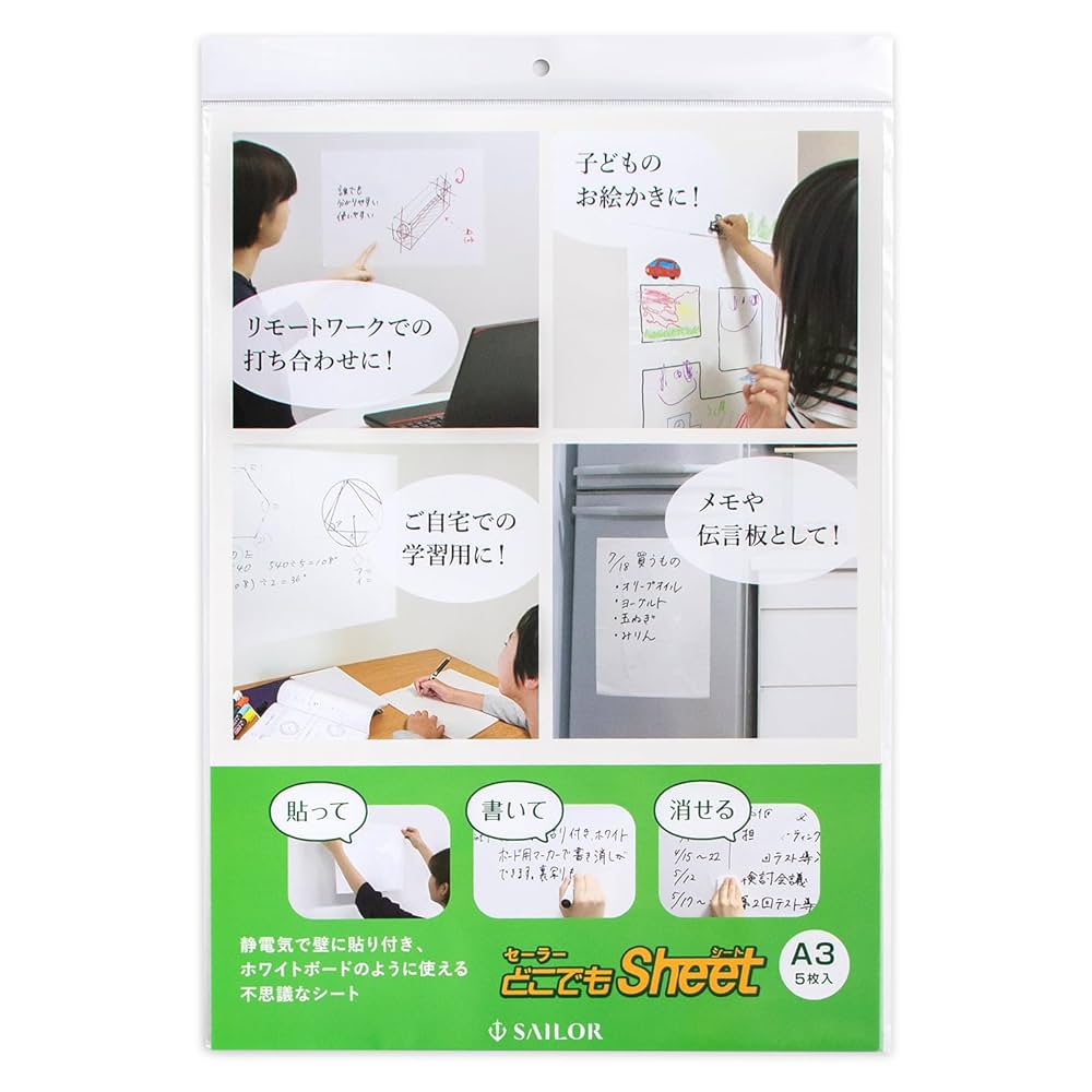SAILOR ホワイト 万年筆 専用ケース付き SAILOR セーラー万年筆 万年筆 プロフィット21 11-2021 ホワイト